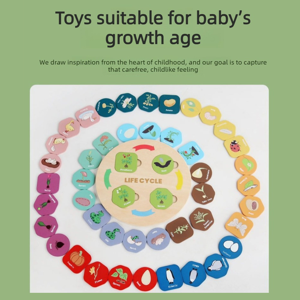 1Pc 나무 성장 퍼즐, 식물 및 동물의 생활주기 인지 - Kids Toys Cycle 리뷰 및 가격